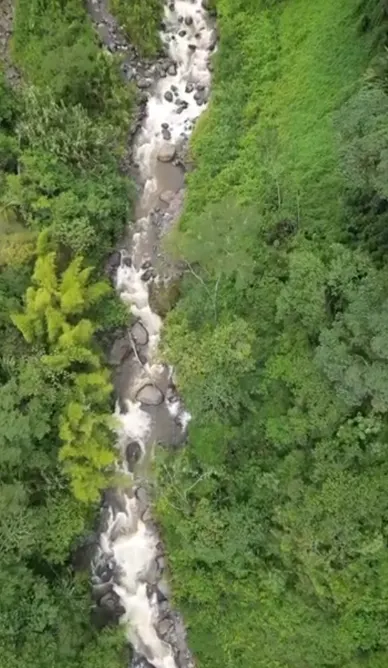 Vista aérea cenital de un río de aguas blancas que baja entre piedras y bosque verde.