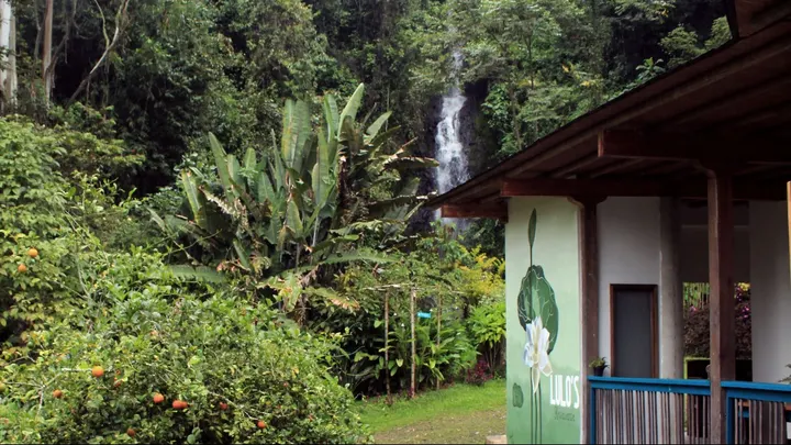 El edificio de Lulo's, con su muro verde pintado con una flor de loto y balcón de baranda azul, frente a la Cascada del Amor entre la selva.
