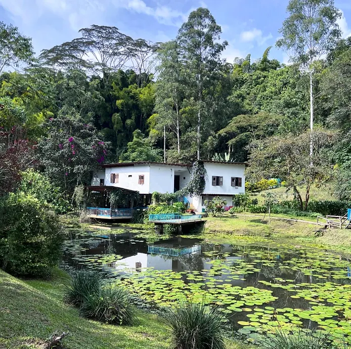 La casa principal blanca de Charco Corazón, con contraventanas de madera, se refleja en el estanque cubierto de nenúfares, rodeada de bambú y árboles altos.