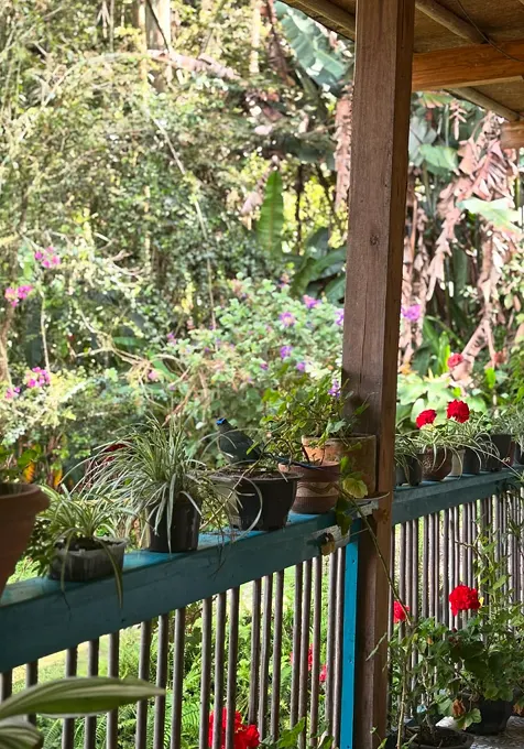 Baranda de madera verde azulado de una terraza, cubierta de materas con geranios rojos y plantas, frente a un jardín con flores moradas.