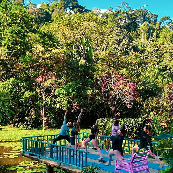 Grupo practicando yoga en la plataforma azul sobre el estanque de nenúfares, con una silla rosada y el bosque florecido detrás.